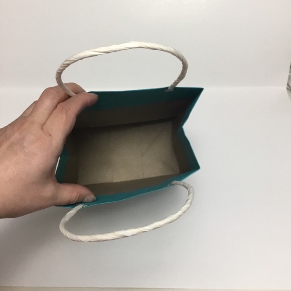 FWP DAVID’S TEA Paper Shopping Bag - Picture 2 of 3